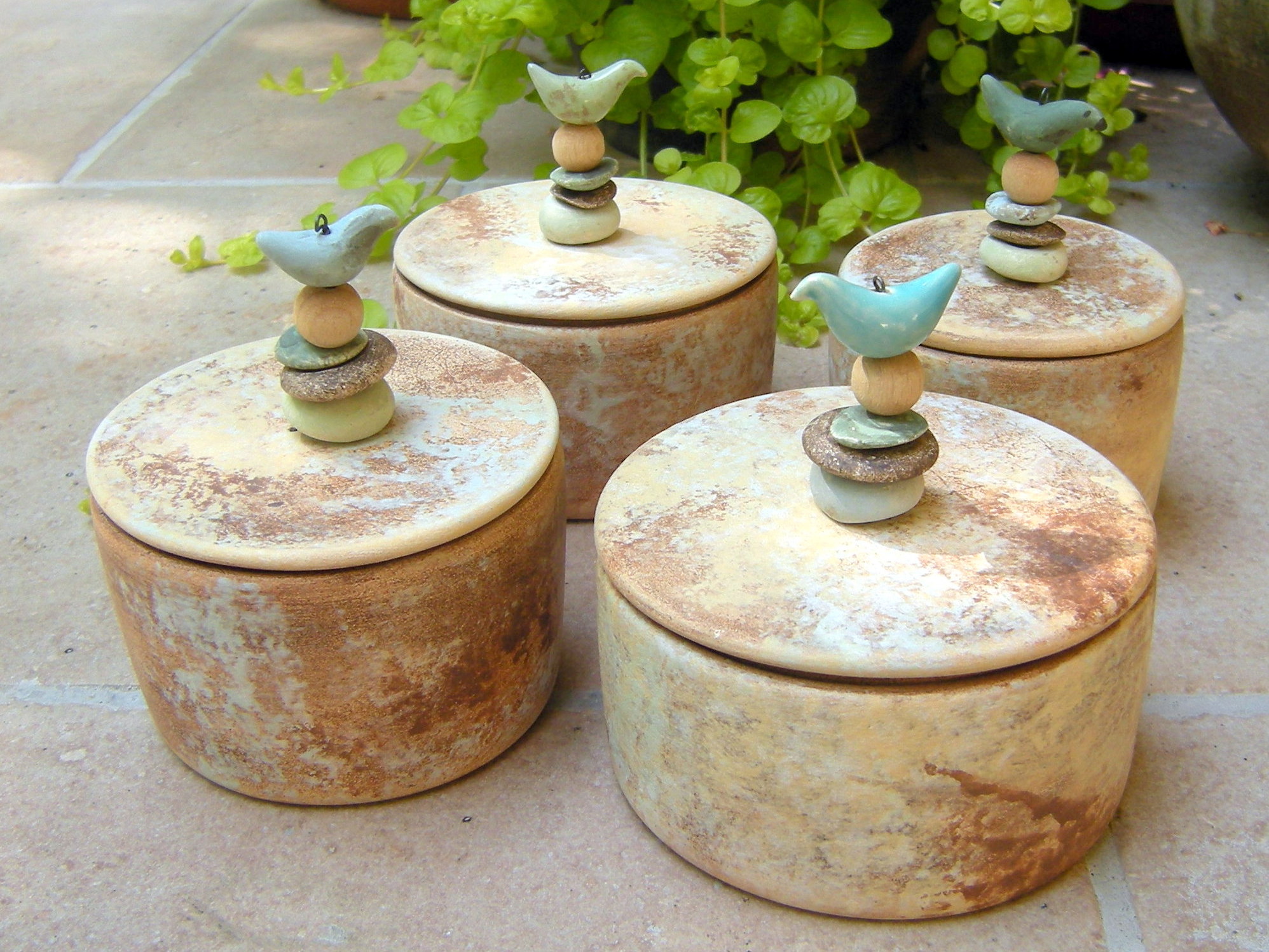POTS WITH LID
